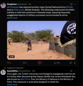 The Unexplored Link Between Somaliland Secessionists and Al-Shabaab Support on Social Media